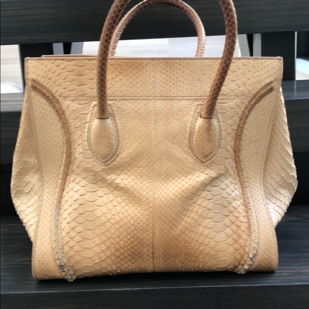 Celina Chabad Phantom Python Beige Tote Bag